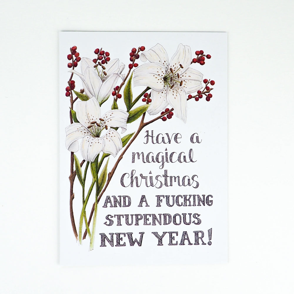 A card that says Have a Magical Christmas and a Fucking Stupendous New Year Card
