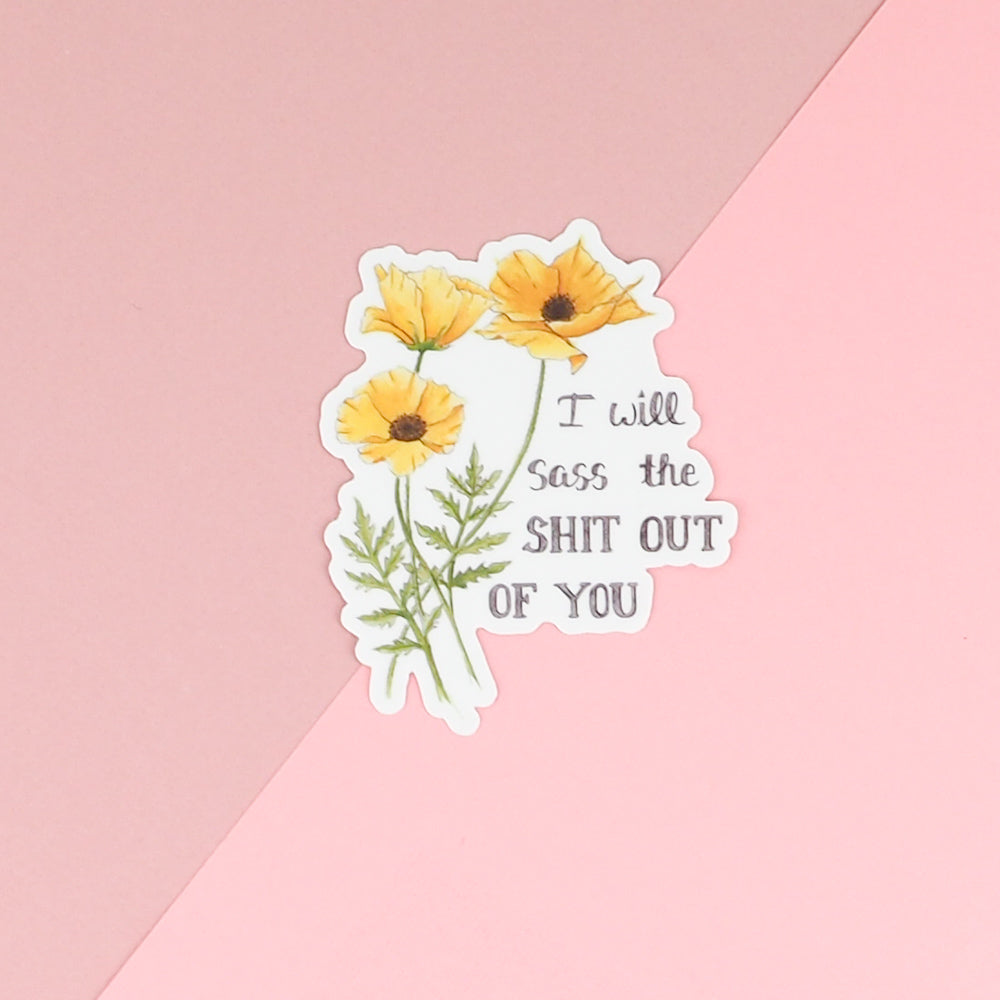 I will sass the shit out of you vinyl sticker 