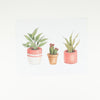 Potted Plant Wall Art 